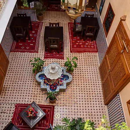 Riad Zanouba-3